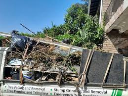 Best Dumpster Rental Services  in Boone, NC